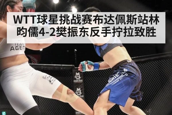 WTT球星挑战赛布达佩斯站林昀儒4-2樊振东反手拧拉致胜