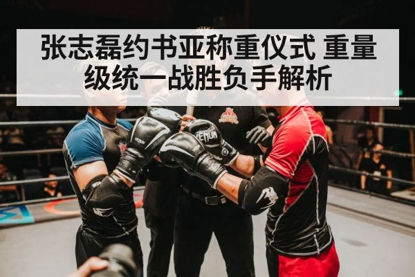 张志磊约书亚称重仪式 重量级统一战胜负手解析